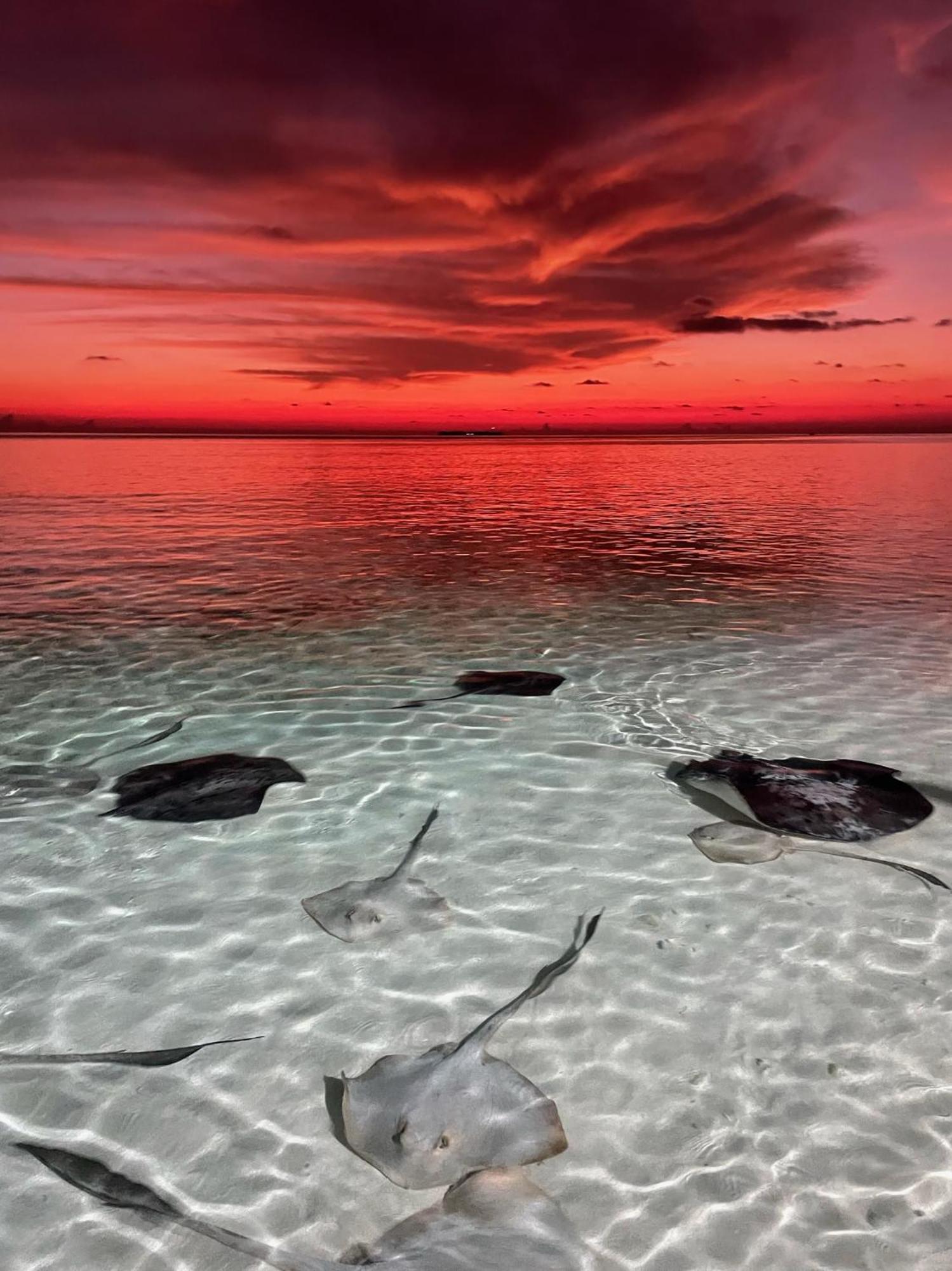 Hudhuvelimaldives Otel Omadhoo Dış mekan fotoğraf