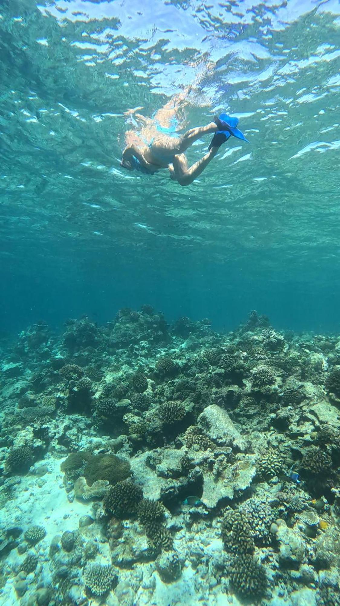 Hudhuvelimaldives Otel Omadhoo Dış mekan fotoğraf