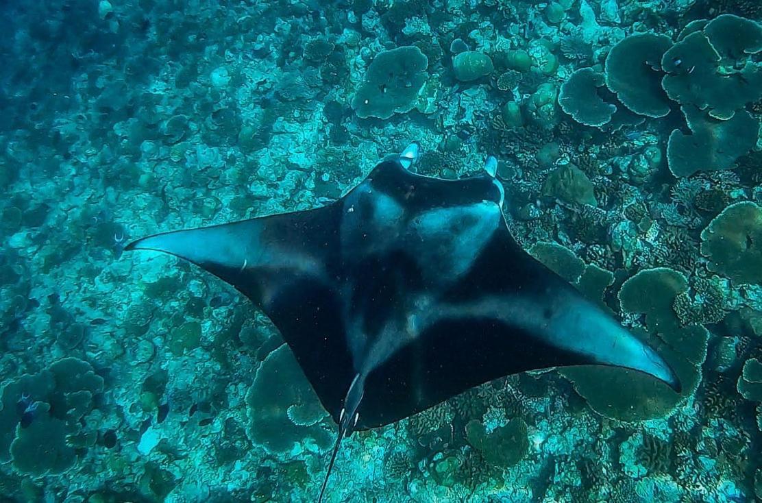 Hudhuvelimaldives Otel Omadhoo Dış mekan fotoğraf