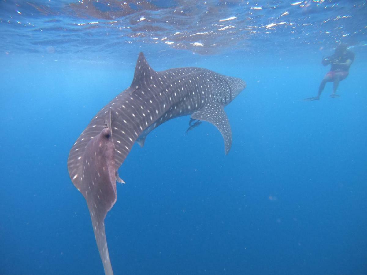 Hudhuvelimaldives Otel Omadhoo Dış mekan fotoğraf