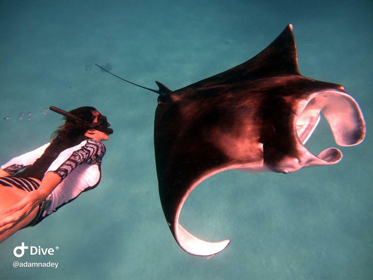 Hudhuvelimaldives Otel Omadhoo Dış mekan fotoğraf