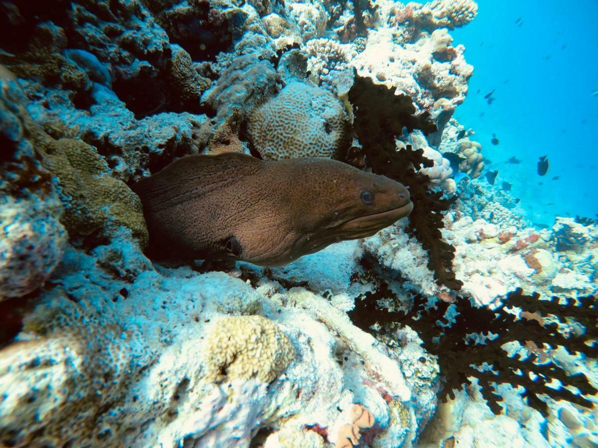 Hudhuvelimaldives Otel Omadhoo Dış mekan fotoğraf